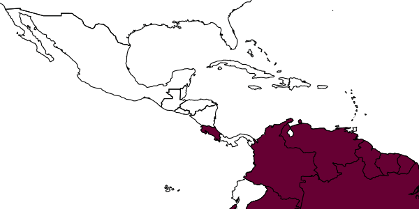 map of Polybia parvulina     Richards, 1970